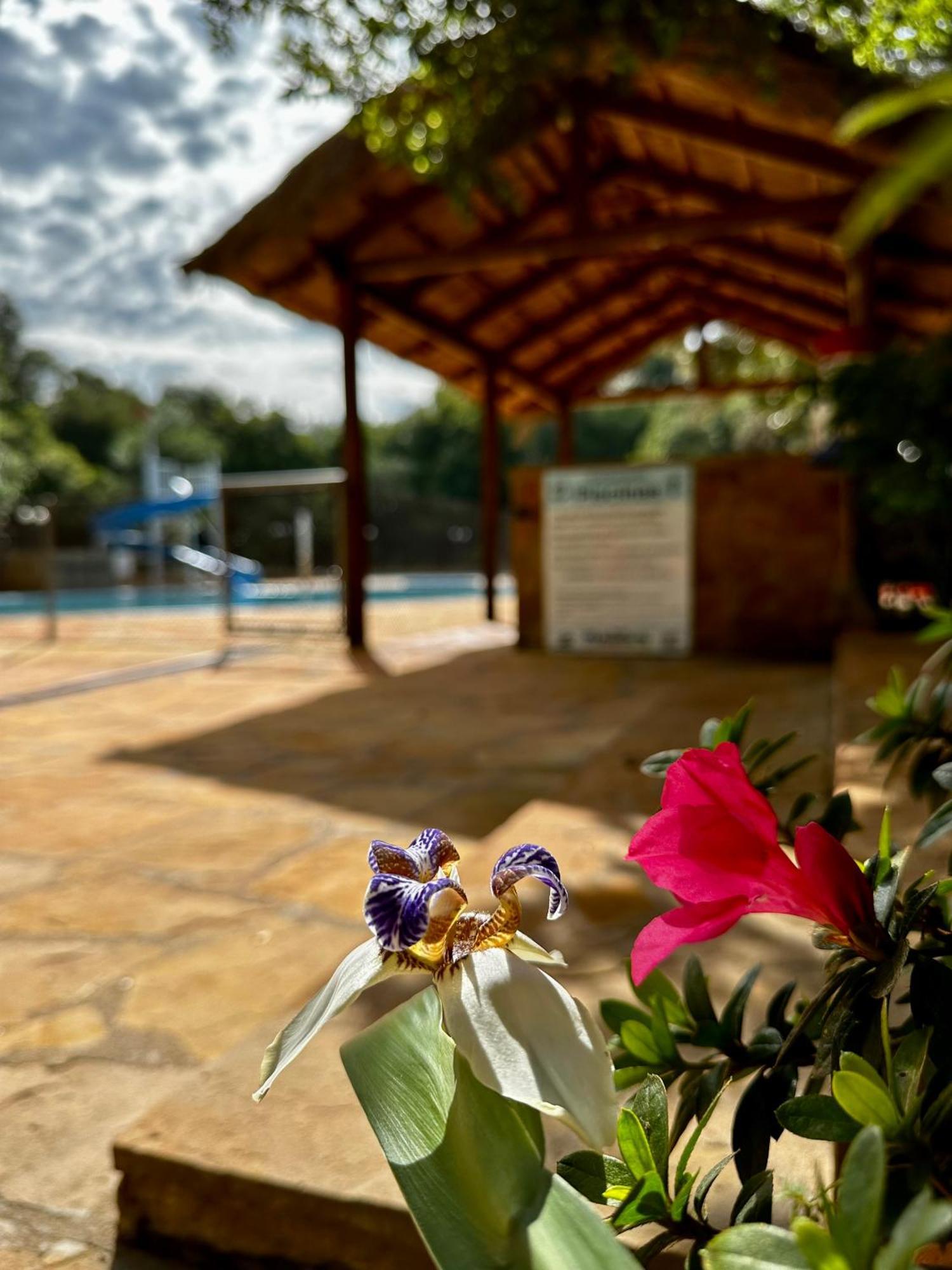 Parque Hotel Manantial Hohenau Exterior foto